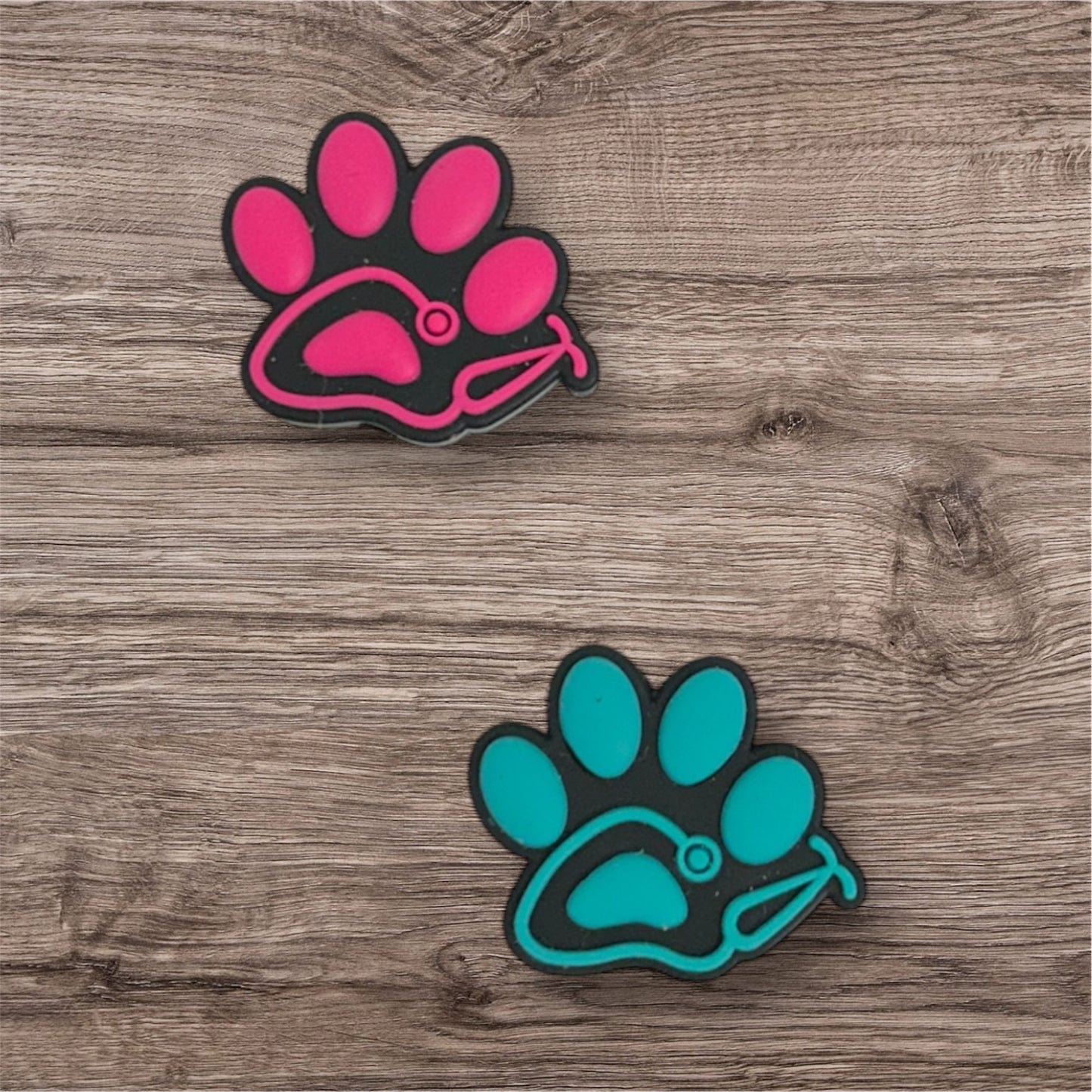 Veterinary Healthcare Charms